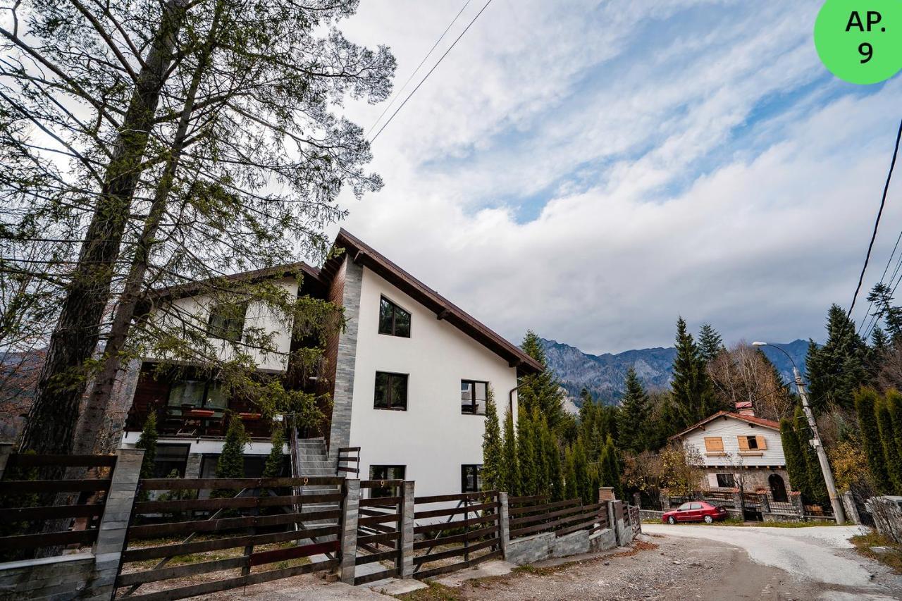 Panoramic Apartments - Montepalazzo Sinaia Dış mekan fotoğraf
